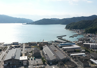沿革